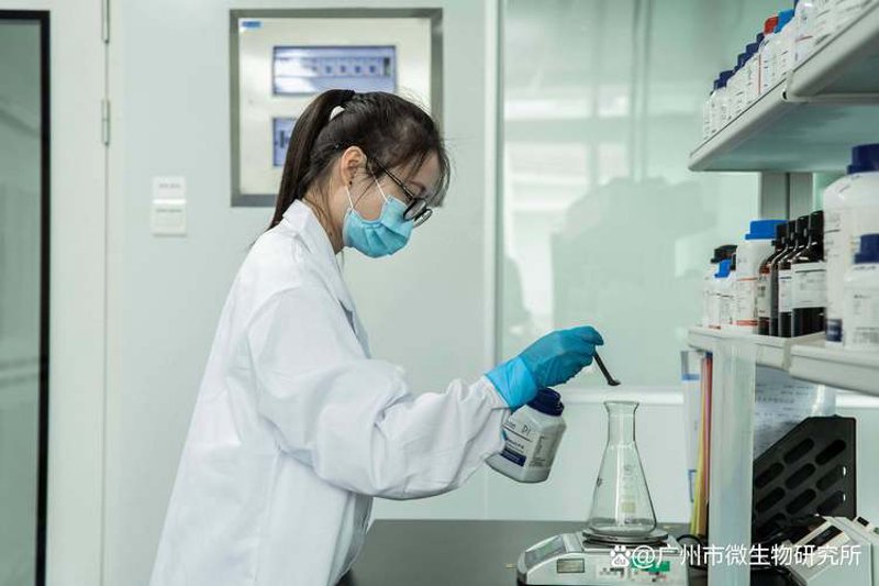 女鞋批发攻略:从新手到行家的进阶之路